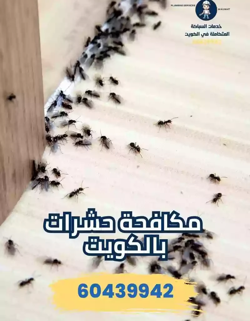 شركة مكافحة حشرات بالكويت