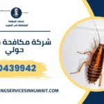 شركة مكافحة حشرات حولي