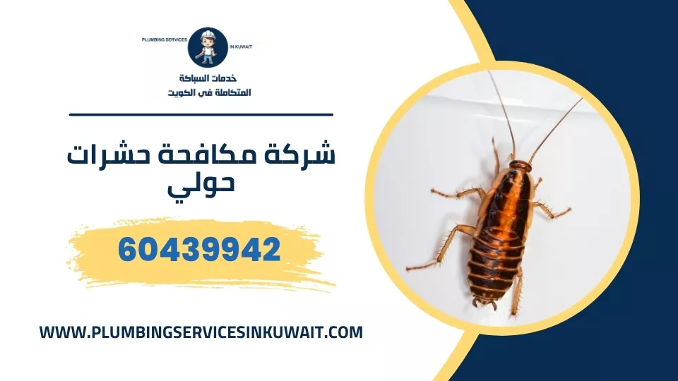 شركة مكافحة حشرات حولي