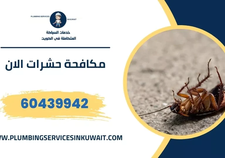 مكافحة حشرات الان - مكافحة حشرات الحين