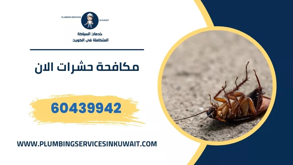 مكافحة حشرات الان