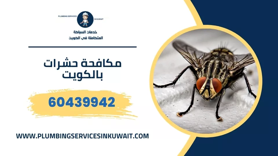 مكافحة حشرات بالكويت