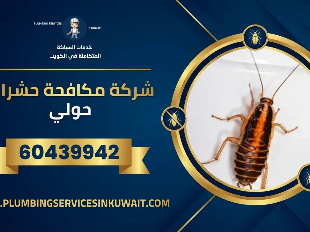 مكافحة حشرات حولي